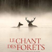 LE CHANT DES FOR&Ecirc;TS
