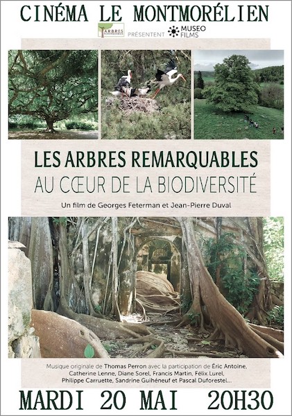 DES JOURS MEILLEURS